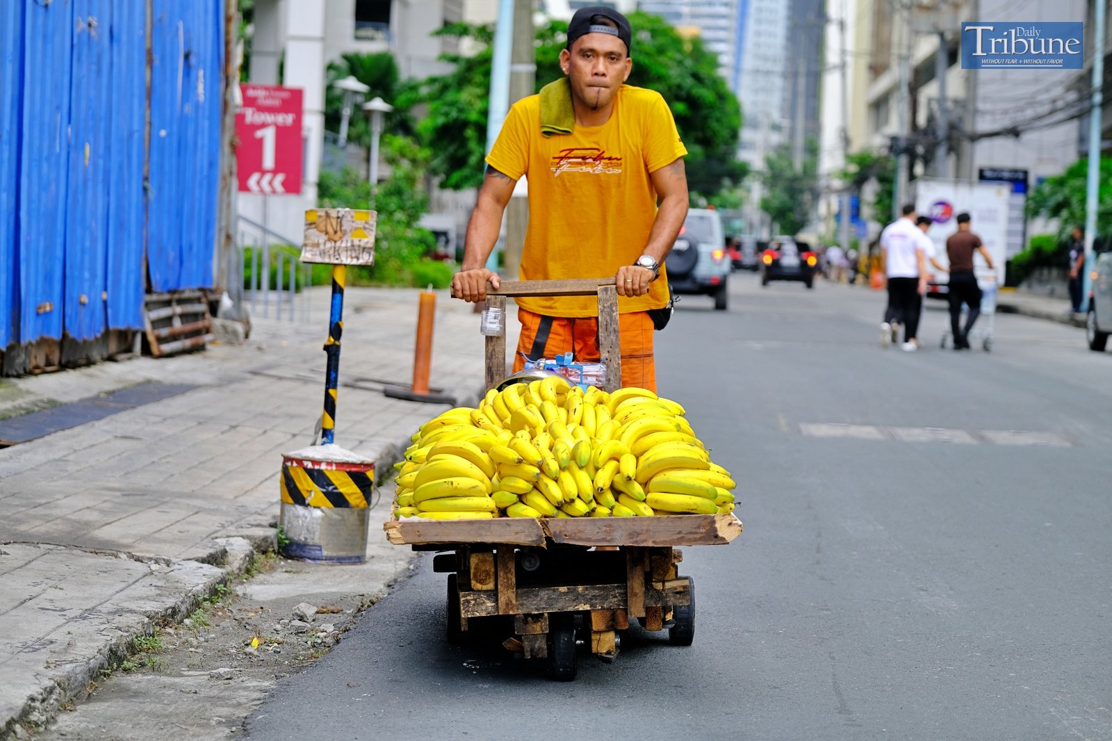 TRIBUNE-Bananas
